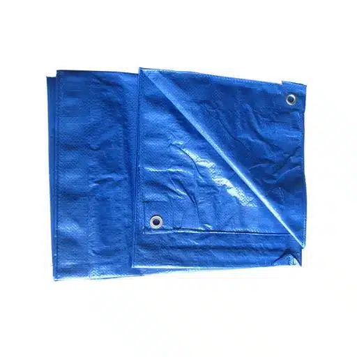 Mold & Mildew Prevention: Cleaning & Storage Solutions mold & mildew prevention cleaning & storage solutions