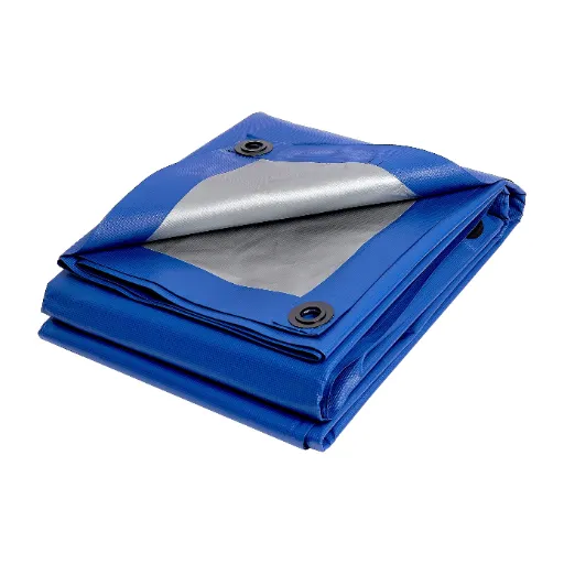 Emerging Technologies: Smart Fabrics & IoT Integration market growth and future outlook for tarpaulin innovations